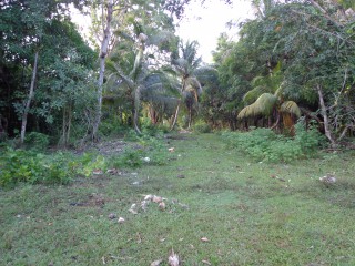 LOT 72 Santoy PA, Westmoreland, Jamaica - Residential lot for Sale